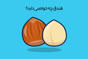 معرفی انواع خواص فندق